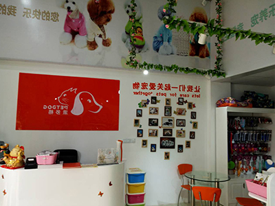 1552013828349463.jpg 400 300 (31).jpg